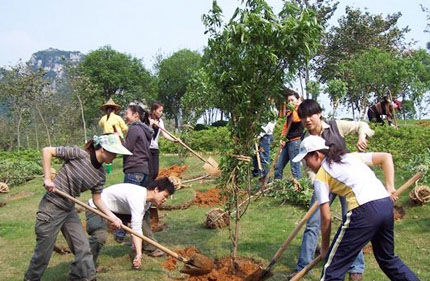 植樹(shù)綠化